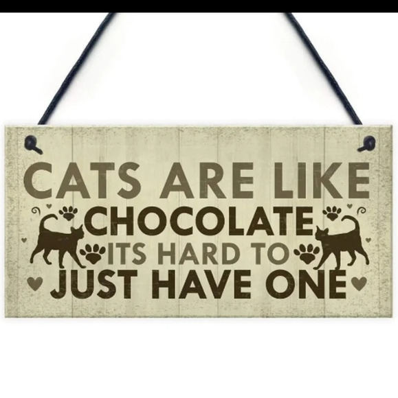 "cats are like chocolate" wooden sign, Wall decor, picture, feline - Picture 2 of 4